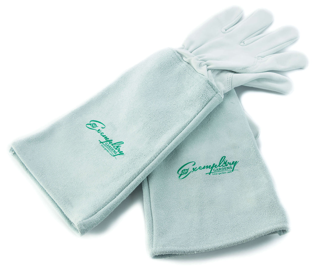 Rose Pruning Gloves